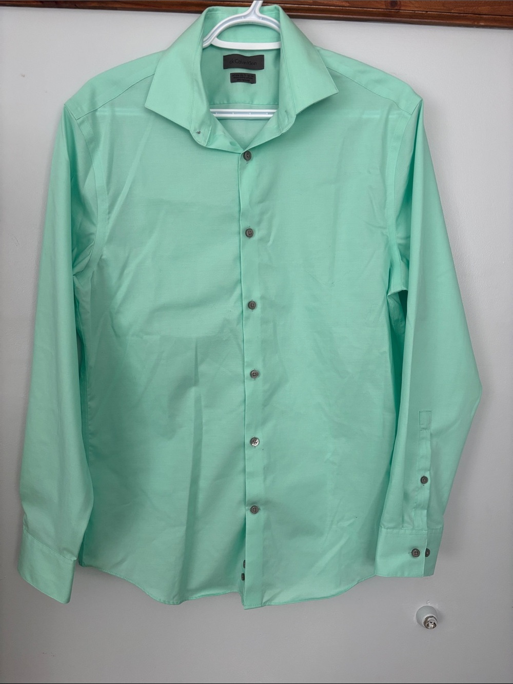 Calvin Klein Mint Green Long-Sleeve Dress Shirt